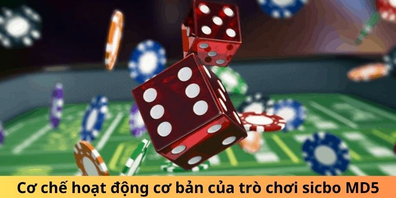 Cơ chế hoạt động cơ bản của trò chơi sicbo MD5